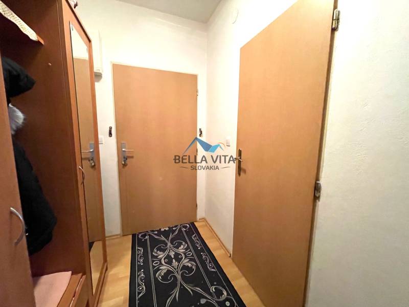 Der Flur in einer Einzimmerwohnung mit Möbeln, Türen und einem Boden in Holzoptik.