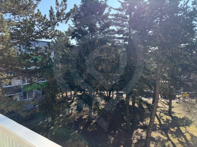 Die Bäume in der Ondrejovova-Straße in Bratislava-Ružinov bieten den Ausblick von einer 3-Zimmer-Wohnung.