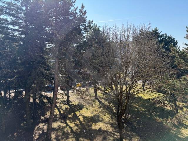 Park in Bratislava-Ružinov in der Ondrejovova-Straße mit dichtem Baumbestand.