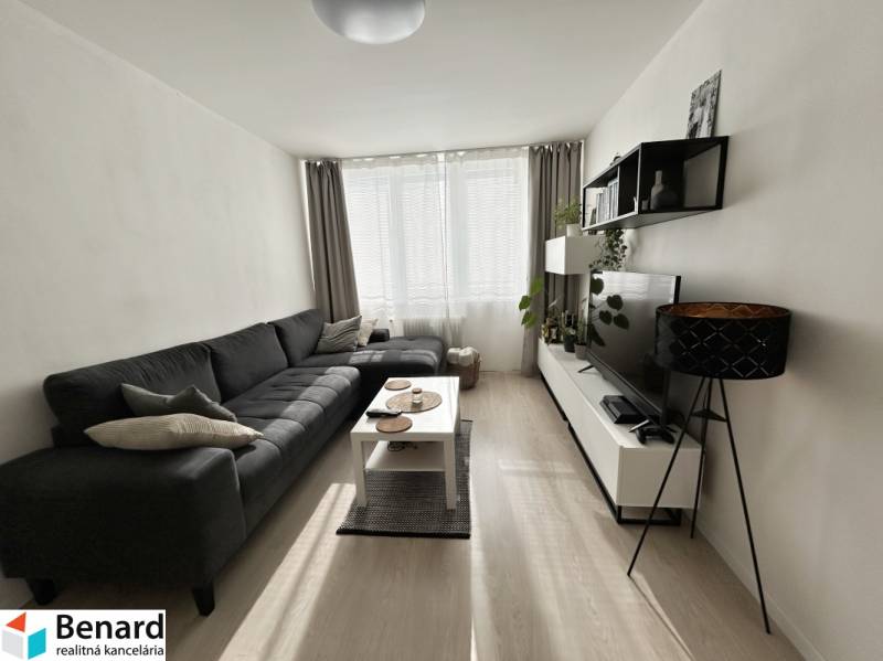 Wohnzimmer mit Sofa, Fernseher und Holzboden in einer 2-Zimmer-Wohnung.