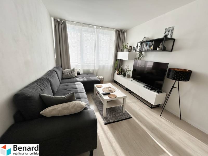 Wohnzimmer in einer 2-Zimmer-Wohnung mit Holzboden und Sofa.