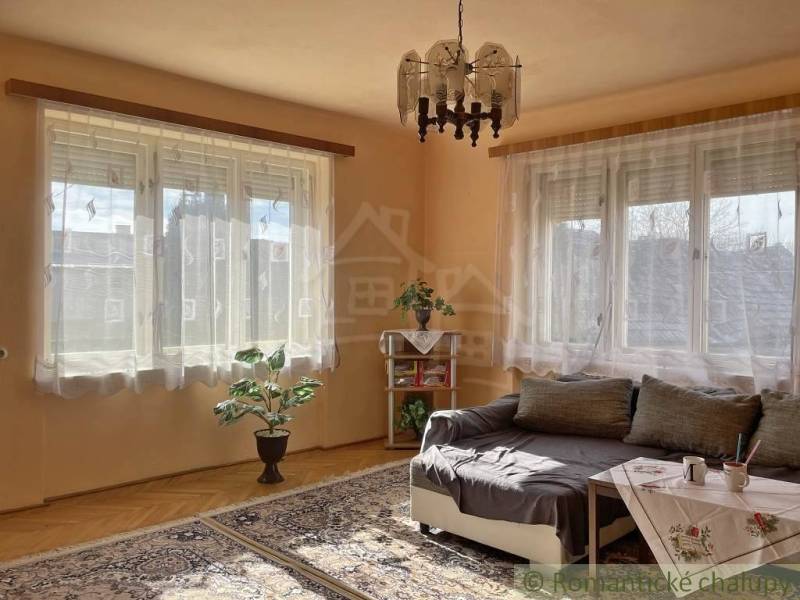 Wohnzimmer in einem Einfamilienhaus mit Sofa, Tisch, Pflanze und Boden in Holzoptik.