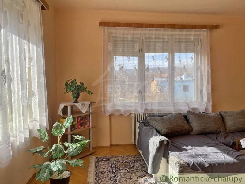 Ein Zimmer in einem Einfamilienhaus mit einem Sofa, einer Pflanze, einem Teppich und einem Bücherregal.