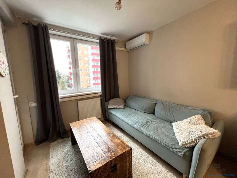 Wohnzimmer in einer 2-Zimmer-Wohnung mit Holzboden und Sofa.