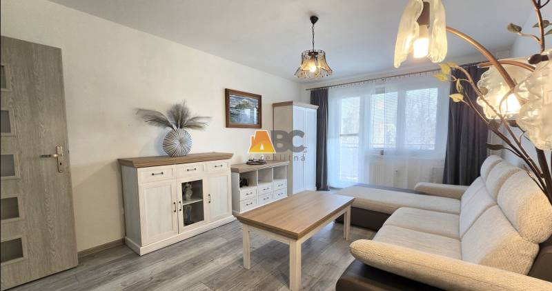 Wohnzimmer in einer 2-Zimmer-Wohnung mit Holzboden, Sofa und weißen Möbeln.