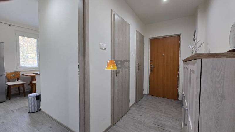 Eingangsbereich mit Holztüren und Möbeln in einer Zweizimmerwohnung, heller Boden.