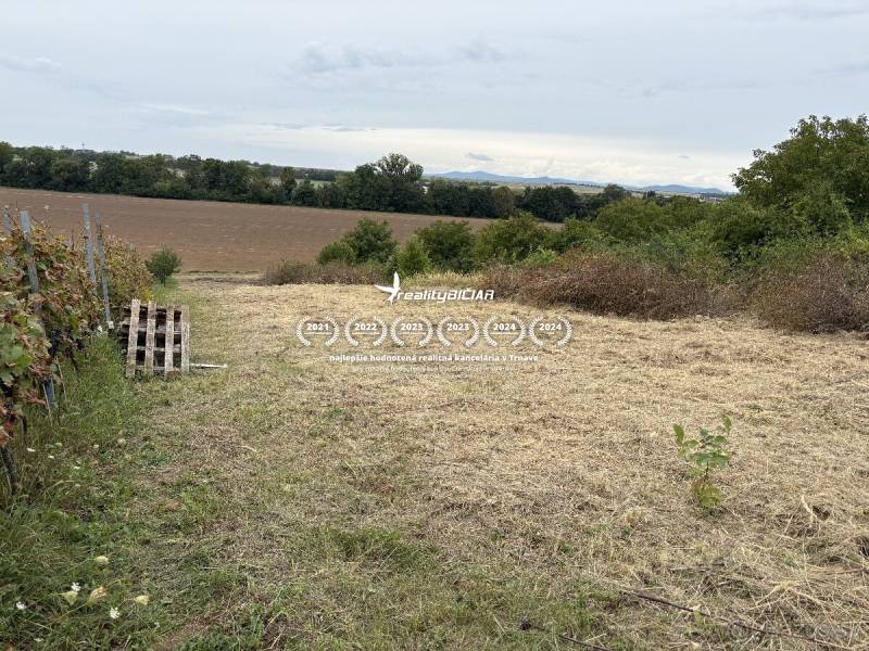 Die Gärten in Zvončín bieten einen Blick auf die Wiesen und Felder in der Gegend von Zvončín.