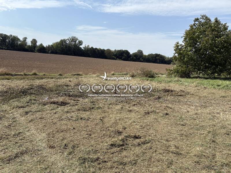 Ein Feld und Gras in den Gärten in Zvončín, bei Zvončín, mit klarem Himmel und Bäumen.