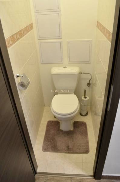 Badezimmer in einer 2-Zimmer-Wohnung mit Toilette, Fliesen und Boden in Holzoptik.