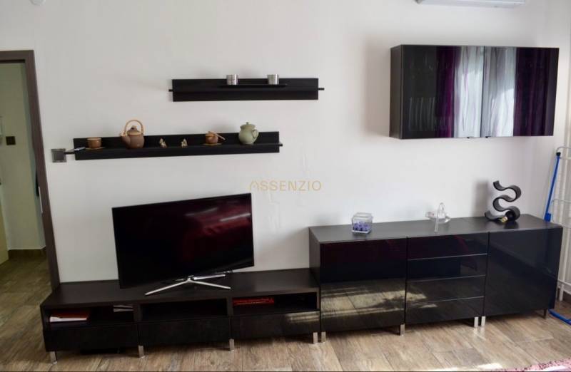 Innenraum einer 2-Zimmer-Wohnung mit dunklen Möbeln und einem Fernseher auf einem Boden mit Holzdekor.