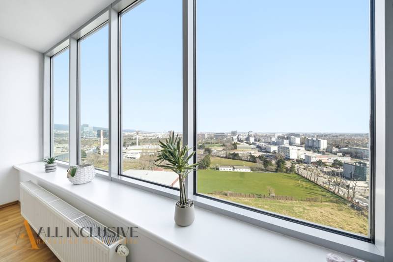 Blick aus einer 2-Zimmer-Wohnung mit großen Fenstern, Zimmerpflanzen, Boden mit Holzdekor.