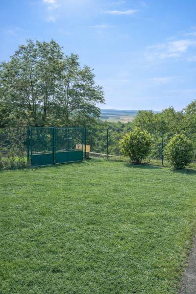 Grüner Rasen mit Hecke und Tor bei einem Einfamilienhaus in Veľké Ripňany.