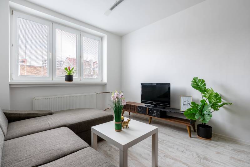 Wohnzimmer in einer 2-Zimmer-Wohnung, Sofa, Fernseher, Pflanzen, weiße Wand, Boden mit Holzdekor.