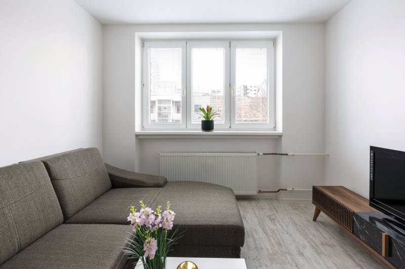 Wohnzimmer in einer Zweizimmerwohnung mit Sofa, Couchtisch und Holzboden.