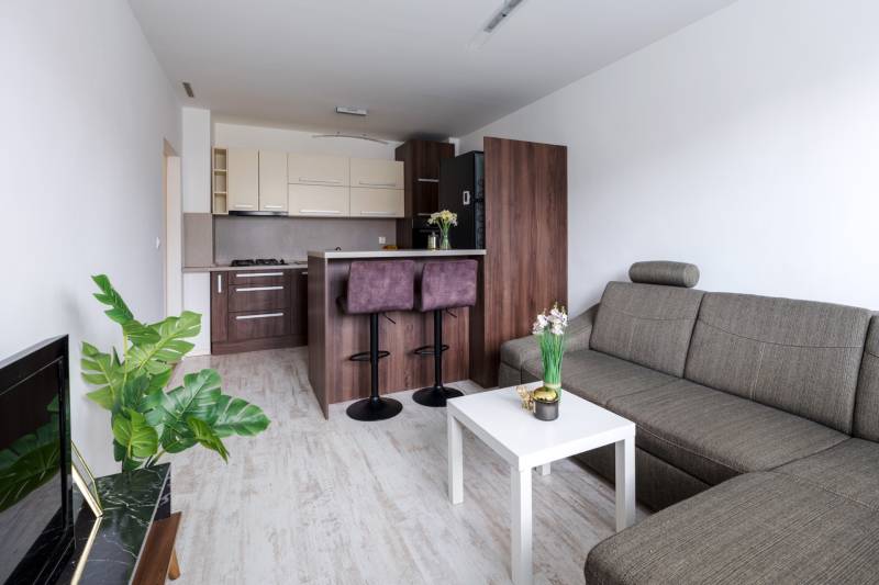 Wohnzimmer mit Küche, Sofa, Bartresen und Holzboden in einer Zweizimmerwohnung.