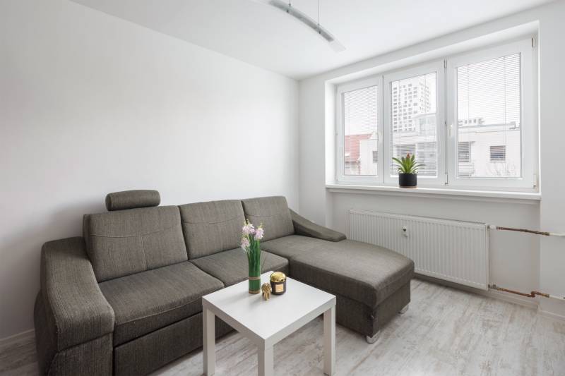 Helles Wohnzimmer in einer Zweizimmerwohnung mit Sofa, Tisch und großen Fenstern.