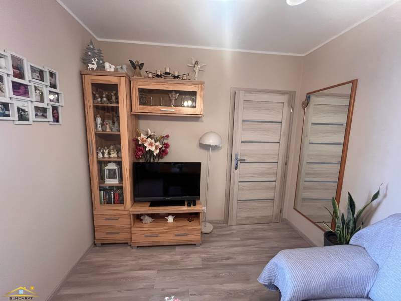 Ein Zimmer mit Fernseher, Spiegel, Holzmöbeln und Sofa in einer 3-Zimmer-Wohnung.