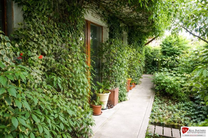 Der Garten einer 3-Zimmer-Wohnung in der Šancová-Straße in Pezinok mit üppigem Grün und einem Gehweg.