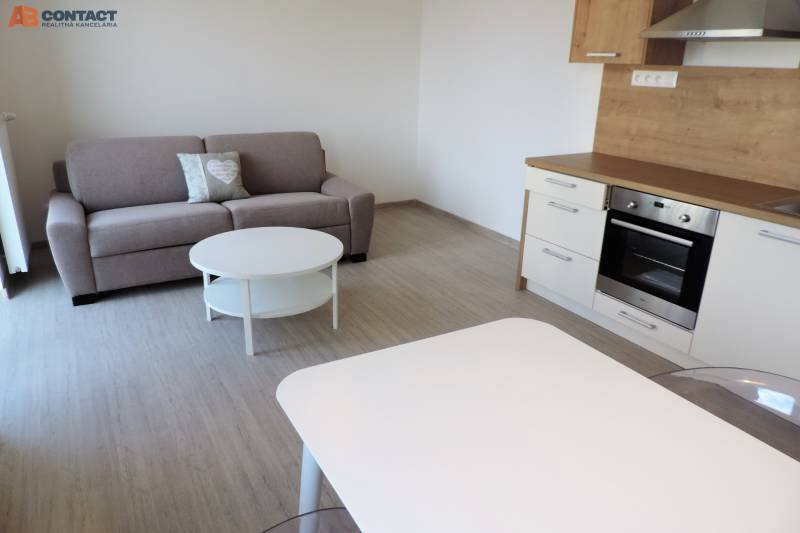 Stilvolles Studio mit Kochnische, Sofa und Tisch in der Bodona-Straße.