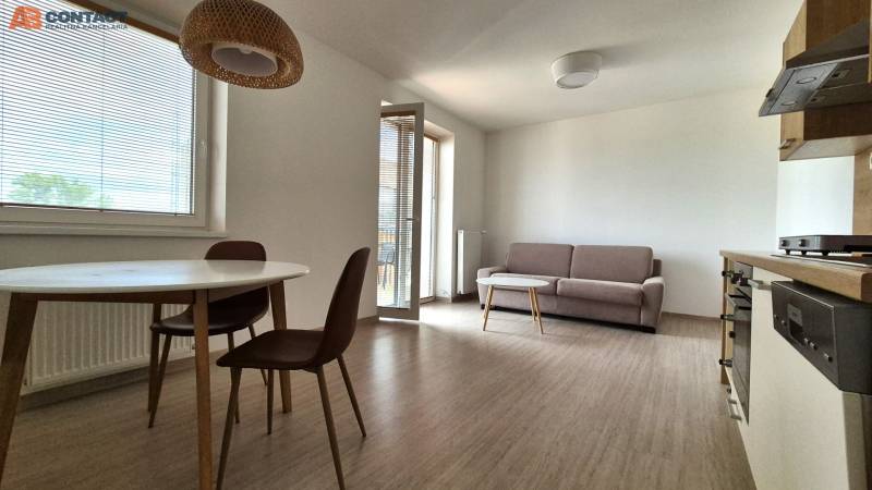 Einzimmerwohnung in der Bodona-Straße mit Holzmöbeln, Sofa, Tisch, Balkon und Küchenzeile.