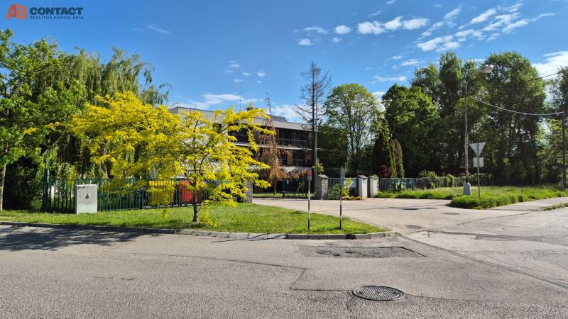 Bäume und Sträucher an einem eingezäunten Grundstück, in der Nähe einer Kreuzung in der Bodona-Straße.