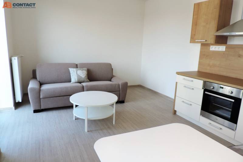 Einzimmerwohnung in der Bodon-Straße mit Sofa, Küchenzeile und Couchtisch.