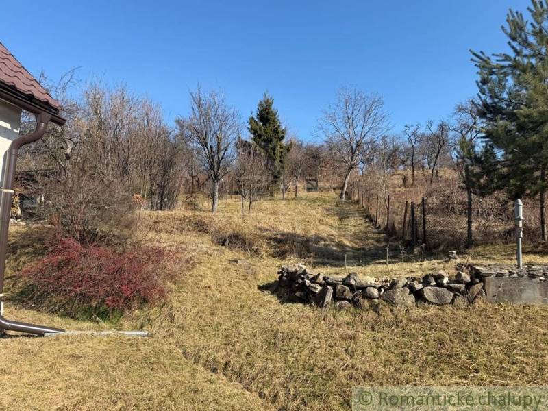 Ein Garten bei einem Einfamilienhaus in Lipovec mit Bäumen und einer Steinmauer.