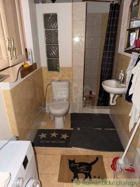 Badezimmer im Einfamilienhaus mit WC, Dusche und Waschmaschine.