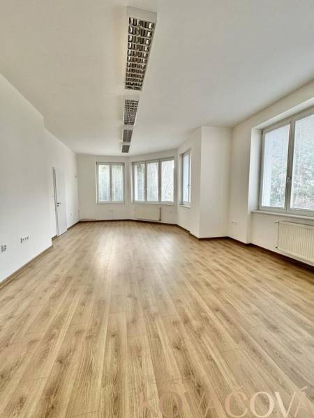 Büros mit großen Fenstern und einem Boden in Holzoptik.