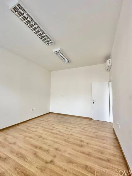 Büros mit Holzboden und weißen Wänden, Deckenleuchten.