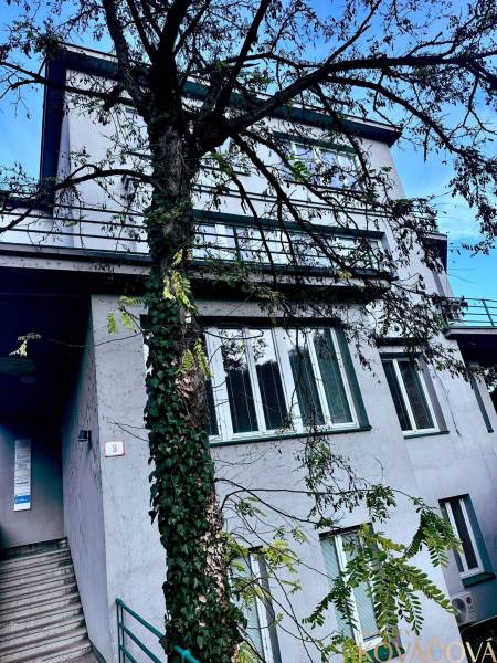 Das Gebäude in der M.R.Štefánik-Straße in Trenčín, umgeben von Bäumen, bietet Büroflächen an.