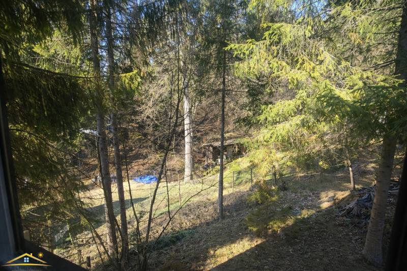 Die bewaldete Umgebung rund um die Hütte in Oščadnica, mit Bäumen und einer Grasfläche.