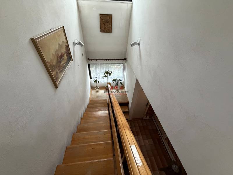 Eine Treppe in einem Einfamilienhaus mit einem Bild an der Wand und einer Pflanze am Fenster.