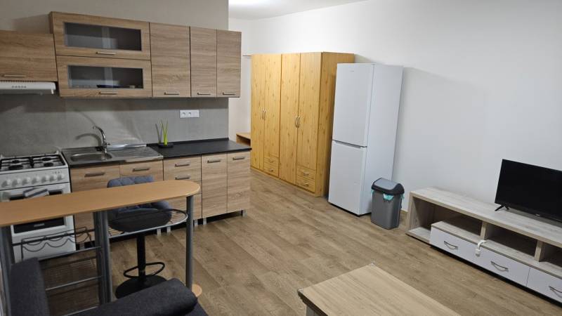 Einzimmerwohnung mit Küchenzeile, Kühlschrank und Bodenbelag in Holzoptik.