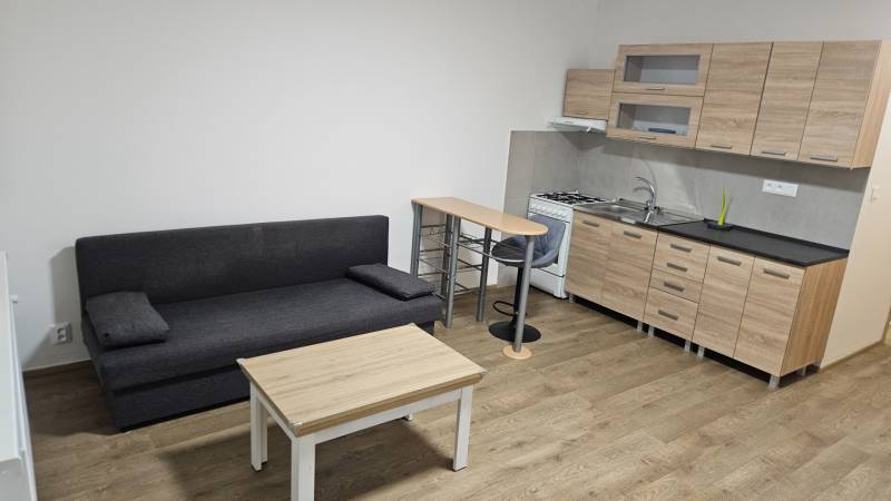 Einzimmerwohnung mit Küchenzeile, Sofa und Boden in Holzoptik.