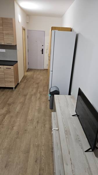 Einzimmerwohnung mit Holzboden, Küchenzeile, Kühlschrank und Fernseher.