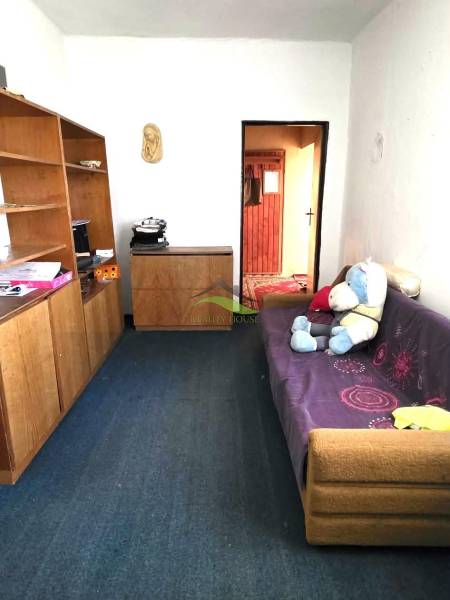 Ein Einfamilienhaus mit Teppich, Sofa und Regalen. Ein Teddybär auf dem Sofa.