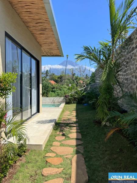 Der Garten des Einfamilienhauses in Amede mit einem Pool, einem Steinweg und Palmen.
