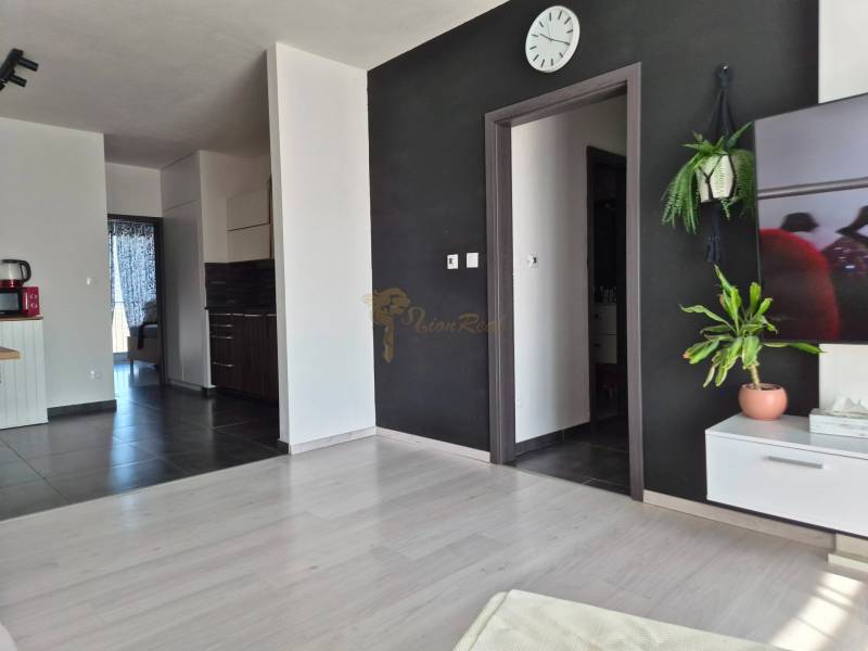 Wohnzimmer mit Holzboden, schwarzer Wand und Pflanzen in einer 3-Zimmer-Wohnung.