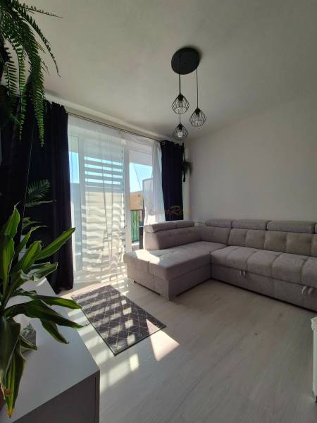 Wohnzimmer in einer 3-Zimmer-Wohnung mit Holzboden, großem Sofa und Pflanzen.