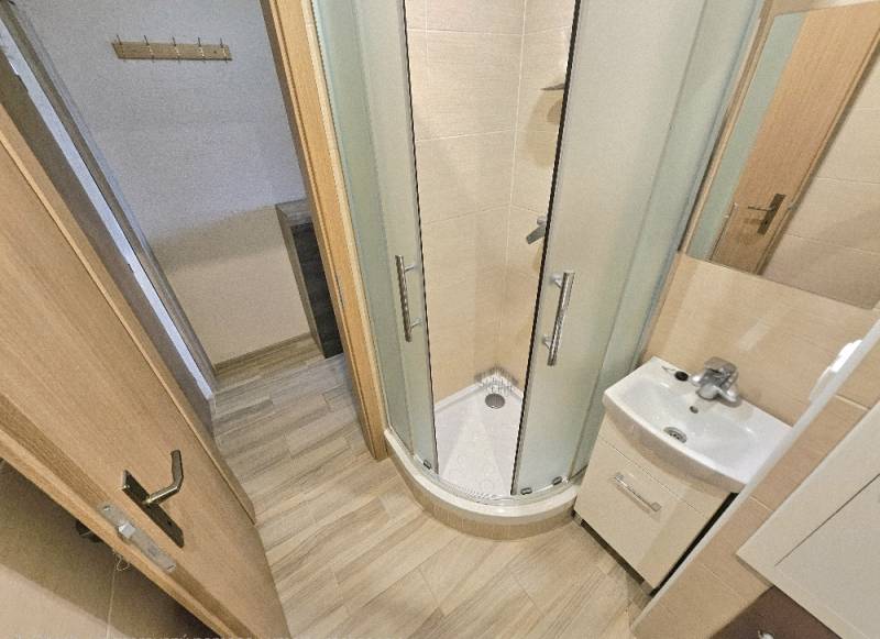 Badezimmer in einem Studio-Apartment mit Kassetten-Dusche und Holzboden-Dekor.