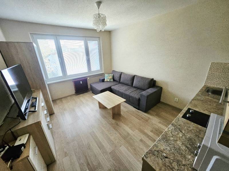 Einzimmerwohnung mit Holzboden, Sofa und TV-Bereich.