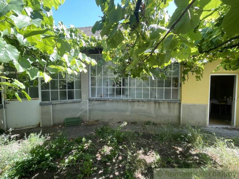 Ein Einfamilienhaus in Tvrdošovce mit einer von Grün umgebenen Veranda, ein Garten mit Weinreben.