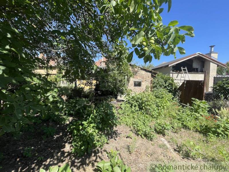 Der Garten beim Einfamilienhaus in Tvrdošovce, umgeben von üppigem Grün und Bäumen.