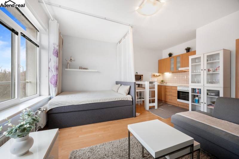 Helle 1-Zimmer-Wohnung mit Kochnische, Bett und Sofa, Boden mit Holzdekor.