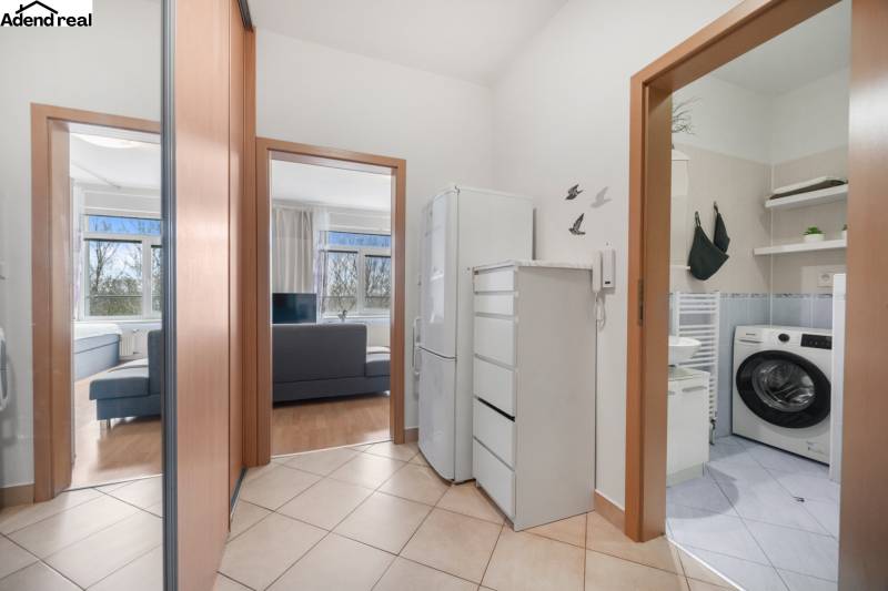 Im Inneren der 1-Zimmer-Wohnung sind der Flur, das Badezimmer und der Wohnbereich sichtbar.