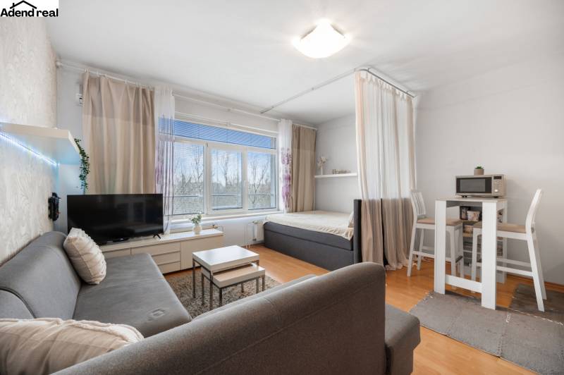 Wohnbereich einer Einzimmerwohnung mit Sofa, Fernseher, Esstisch und Bett.