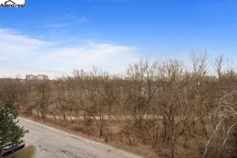Blick von der Antolska-Straße in Bratislava, Petržalka auf den Wald und Plattenbauten, 1-Zimmer-Wohnung.