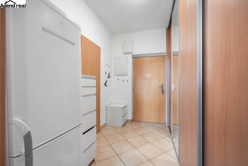 Eingangsbereich einer Einzimmerwohnung mit Fliesen, Garderobe und Kleiderschrank.