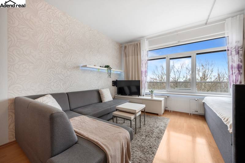 Wohnbereich einer Einzimmerwohnung mit Sofa, Fernseher, hellen Wänden und Boden in Holzoptik.